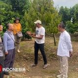 Bertemu di Kebun Kediri, Dua Pakar Bahas Masa Depan Alpukat Indonesia