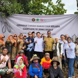 OJK Jabar Dorong Ekosistem Kakao: Petani Untung, Kredit Aman, Pasar Terserap
