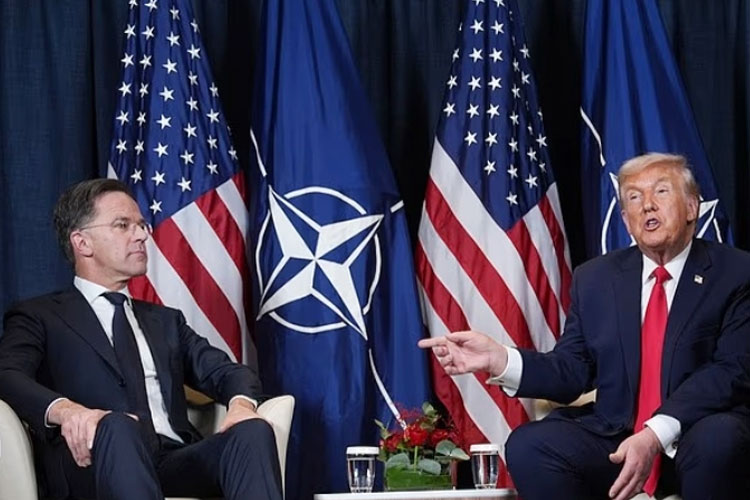 Ada Kemajuan soal Greenland, Donald Trump Cabut Ancaman Tarif Delapan Negara Eropa