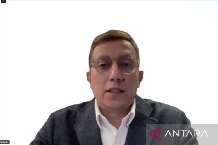 Indonesia Resmi Gabung Dewan Perdamaian Gaza, Fokus Hentikan Kekerasan dan Buka Akses Bantuan