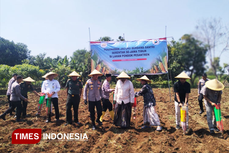 Gresik Targetkan 34 Ribu Hektare Lahan Jagung