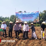 Jelang Musim Tanam, Gresik Targetkan 34 Ribu Hektare Lahan Jagung