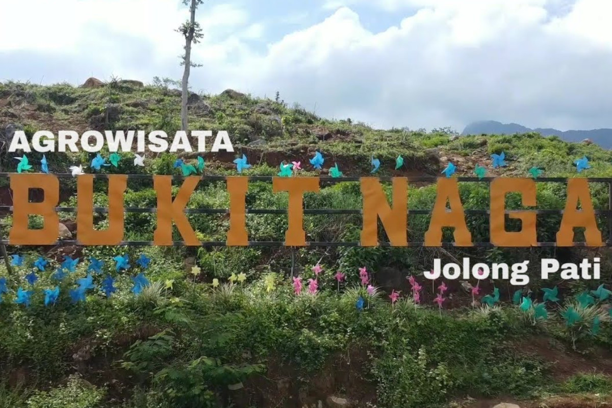 Bukit Naga Jolong, Agrowisata Unggulan Pati yang Menyimpan Jejak Kopi Kolonial