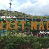 Bukit Naga Jolong, Agrowisata Unggulan Pati yang Menyimpan Jejak Kopi Kolonial