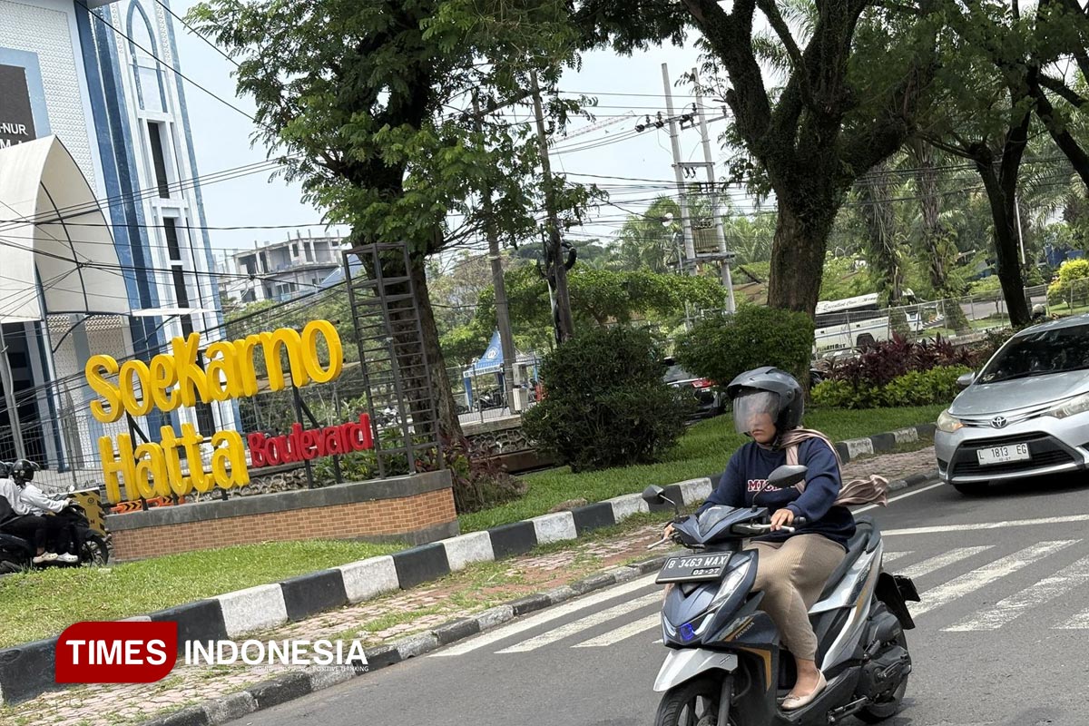 Konsep Penghijauan Belum Jelas, Janji Tanam Ulang Pohon Suhat Kota Malang Menggantung