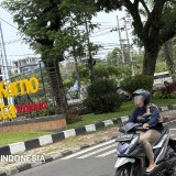 Konsep Penghijauan Belum Jelas, Janji Tanam Ulang Pohon Suhat Kota Malang Menggantung