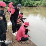Cara PDIP Kota Banjar Rayakan HUT Partai, Melepas Ribuan Benih Ikan di Sungai Citanduy