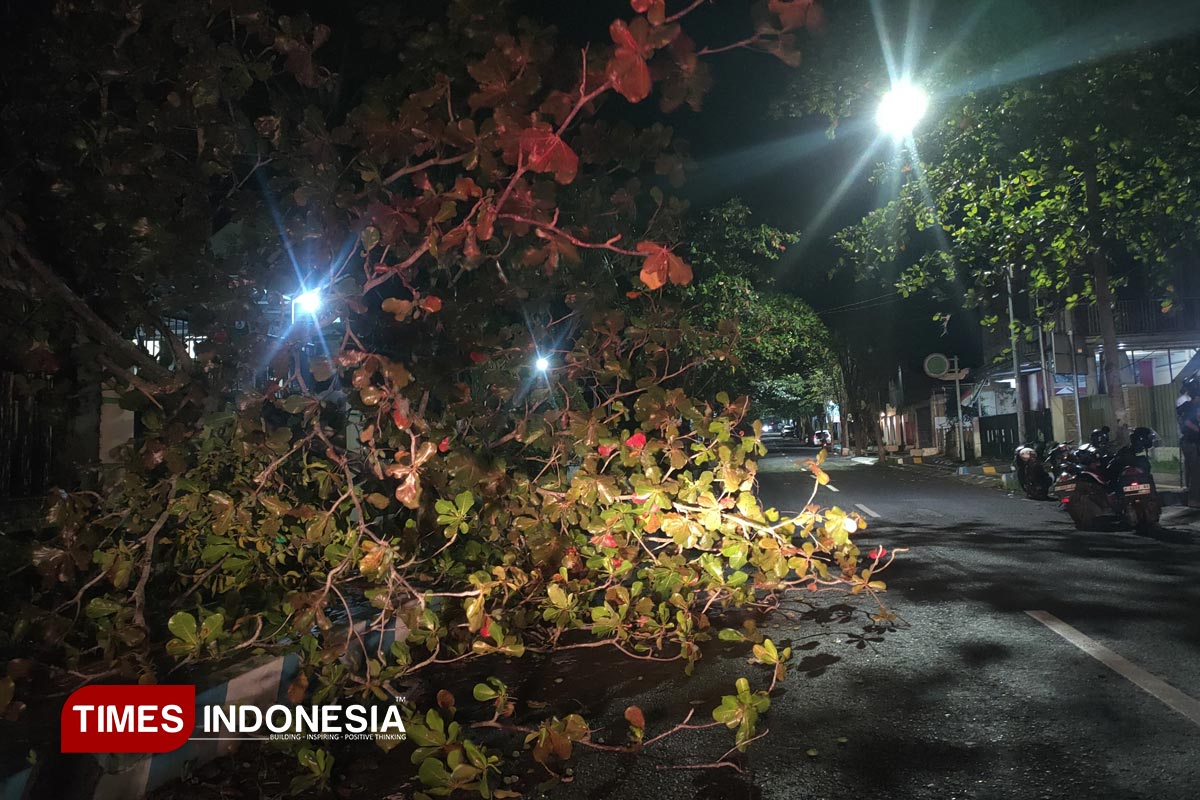 Catatan Bencana Bondowoso: Longsor dan Angin Kencang Melanda