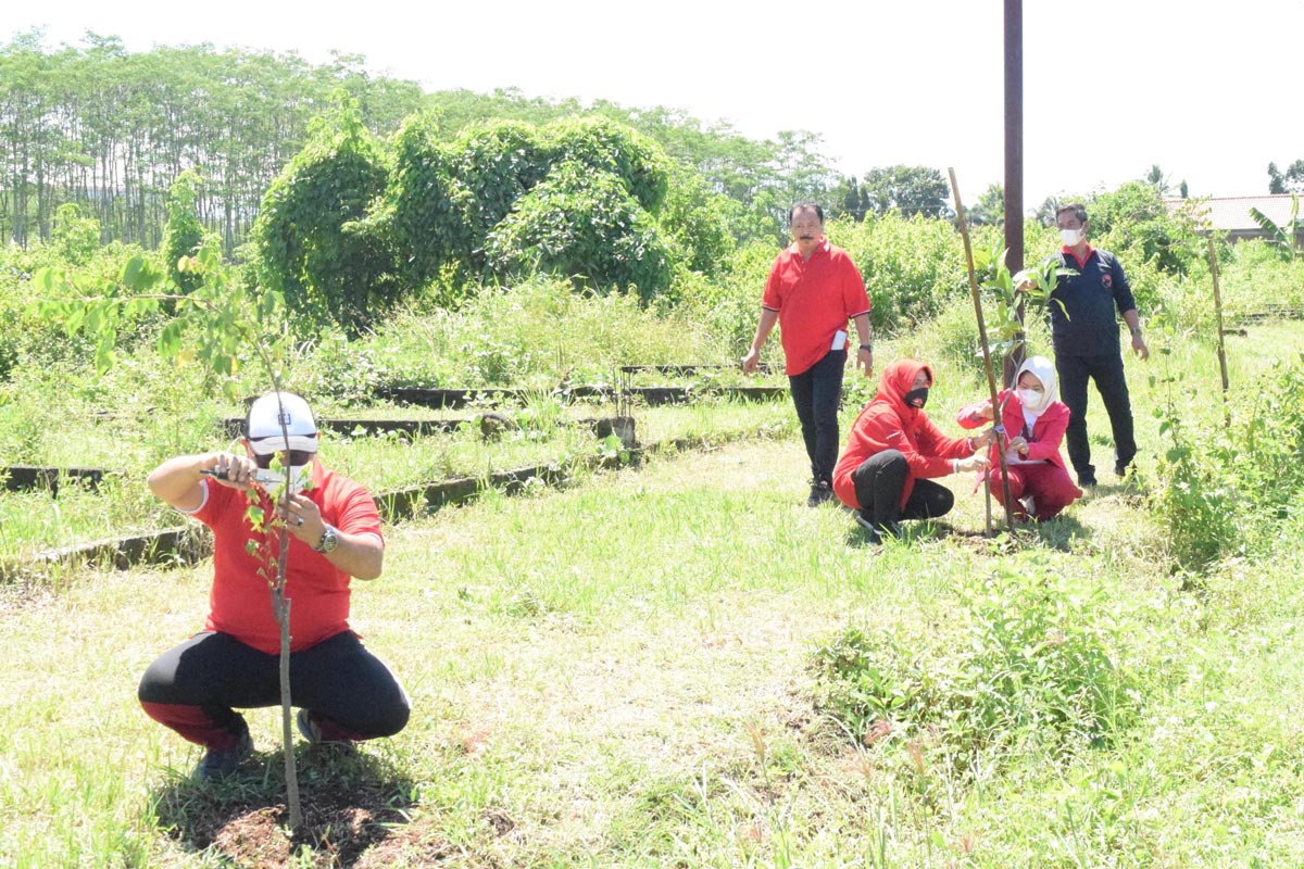 Suasana-kader-PDI-Perjuangan-Kabupaten-Malang-saat-melakukan-tanam-pohon-b.jpg