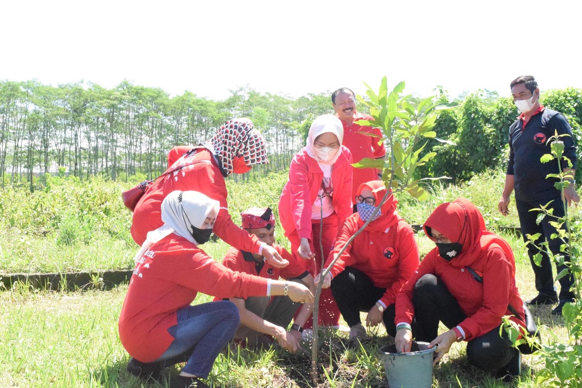 PDI Perjuangan Kabupaten Malang Suarakan Peduli Lingkungan Lewat Aksi Tanam Pohon