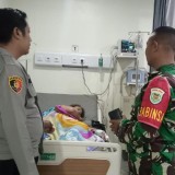 Kasus Keracunan Jamur Liar Terjadi Lagi, Pemkab Cianjur Beri Imbauan Tegas bagi Warga