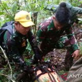 Hari Keenam Pencarian, Medan Ekstrem Gunung Bulusaraung Akhirnya Menyerahkan 6 Jenazah Korban Pesawat IAT