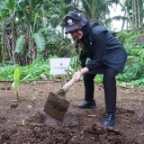 Harlah ke-79, PDI Perjuangan Banyuwangi Bersama Bupati Ipuk Gelar Aksi Rawat Pertiwi