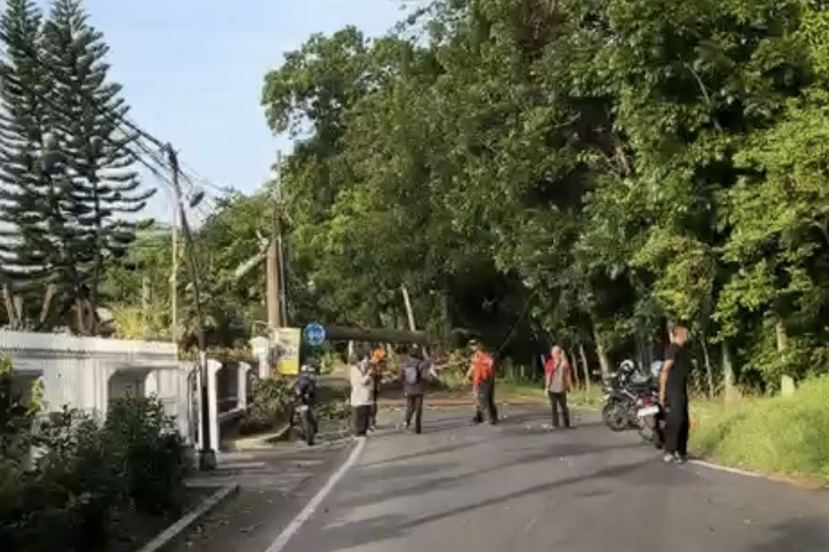 BMKG Ungkap Penyebab Angin Kencang di Malang, Waspada Cuaca Ekstrem hingga Akhir Januari