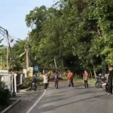 BMKG Ungkap Penyebab Angin Kencang di Malang, Waspada Cuaca Ekstrem hingga Akhir Januari