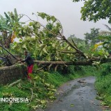 Cuaca Ekstrem dan Longsor Terjang Majalengka, 7 Kecamatan Terdampak
