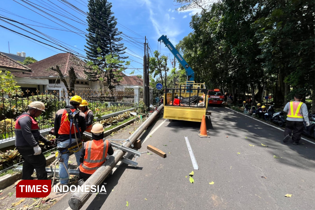 Pohon Tumbang Sebabkan Listrik Padam di  Kota Malang, 1.100 Pelanggan Terdampak Hingga 7 Jam Kedepan