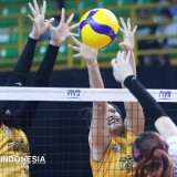 Proliga 2026, Livin Mandiri Tekuk Popsivo Polwan di Penutup Seri Bandung