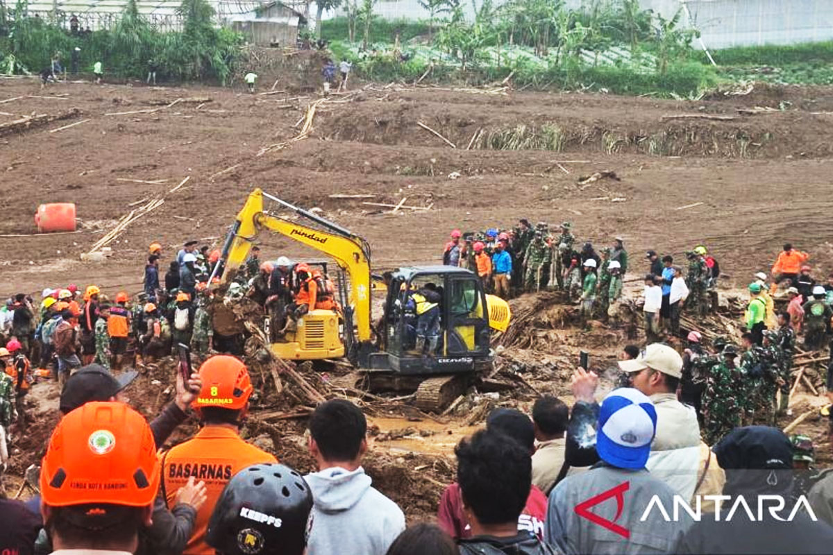 SAR Lanjutkan Pencarian 65 Korban Longsor Cisarua, Kerahkan Alat Berat dan Anjing K-9