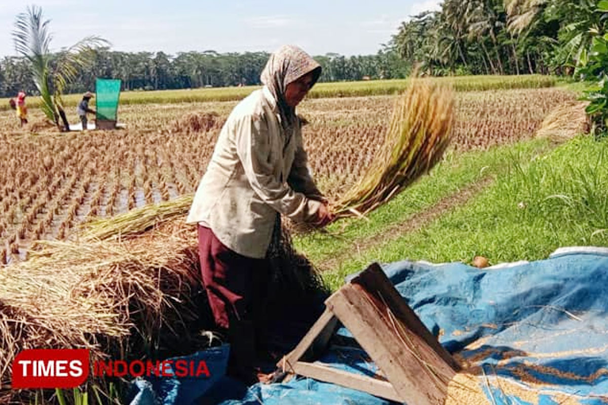 Penduduk Miskin di Kabupaten Malang Mulai Tinggalkan Sektor Pertanian