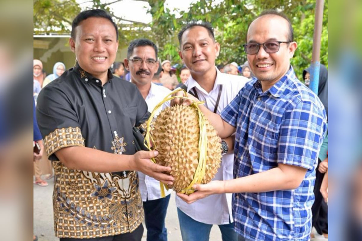 Bank UMKM Jatim Perkuat Daya Saing Durian Lokal Blitar