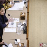 Menpora Siapkan Opsi Intervensi Akhiri Dualisme Federasi Olahraga