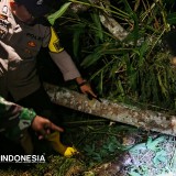 Cuaca Ekstrem di Pacitan Sebabkan 33 Kejadian, 1 Orang Meninggal Dunia