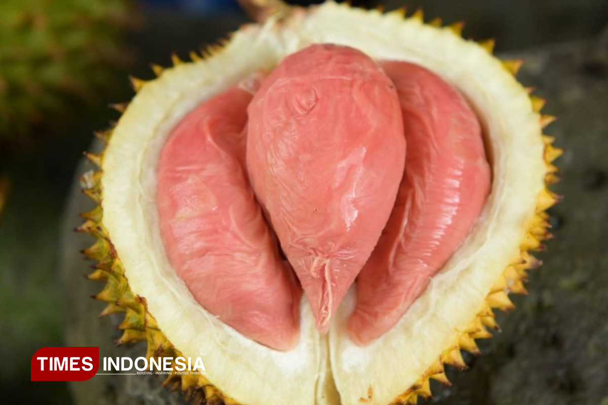 Durian-Merah-Banyuwangi-3.jpg