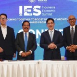 IES 2026, Menakar Daya Saing Indonesia di Tengah Perang Investasi Global