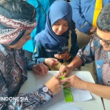 Rayakan Hari Braille, Ratusan Tunanetra di Tasikmalaya Membaca dan Menulis Harapan
