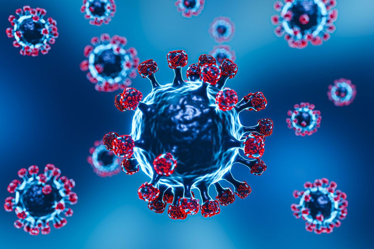 Virus Nipah, Penyakit Infeksi Emerging yang Menjadi Perhatian Global