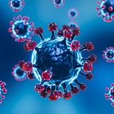 Virus Nipah, Penyakit Infeksi Emerging yang Menjadi Perhatian Global