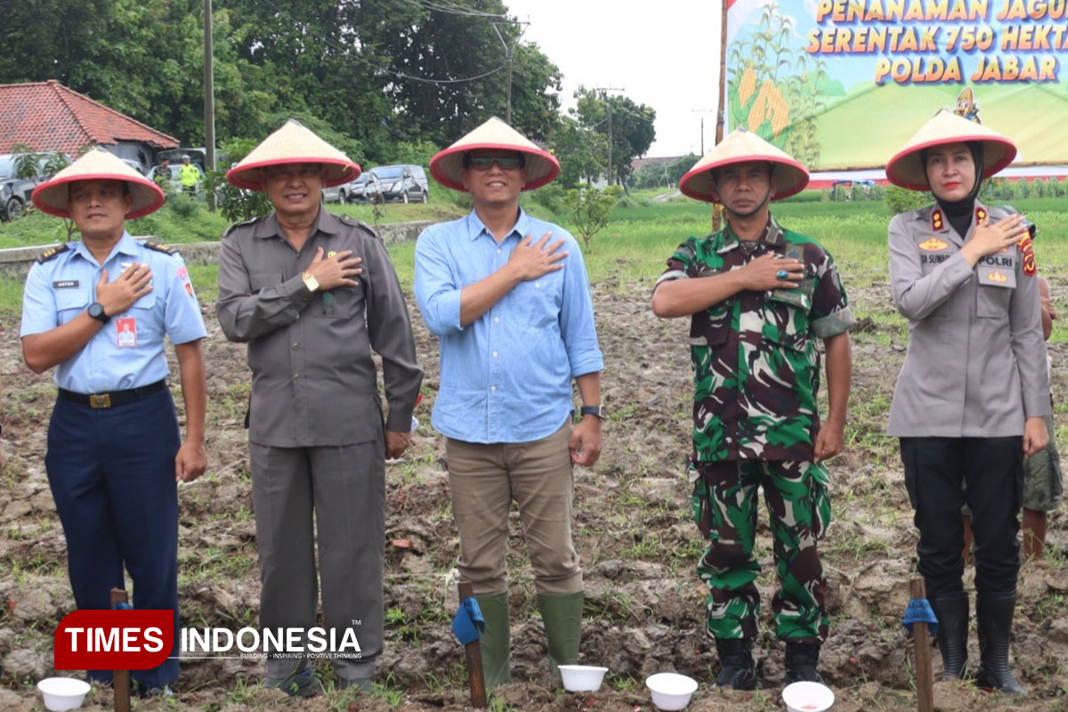 750 Hektare Jagung Ditanam, Sekda Majalengka Tegaskan Komitmen Pangan