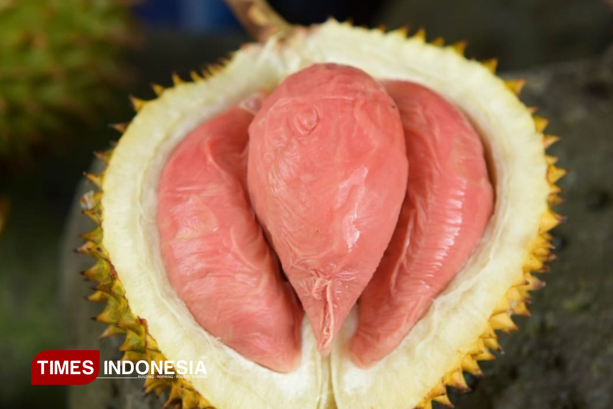 Durian-Merah-Banyuwangi-4.jpg