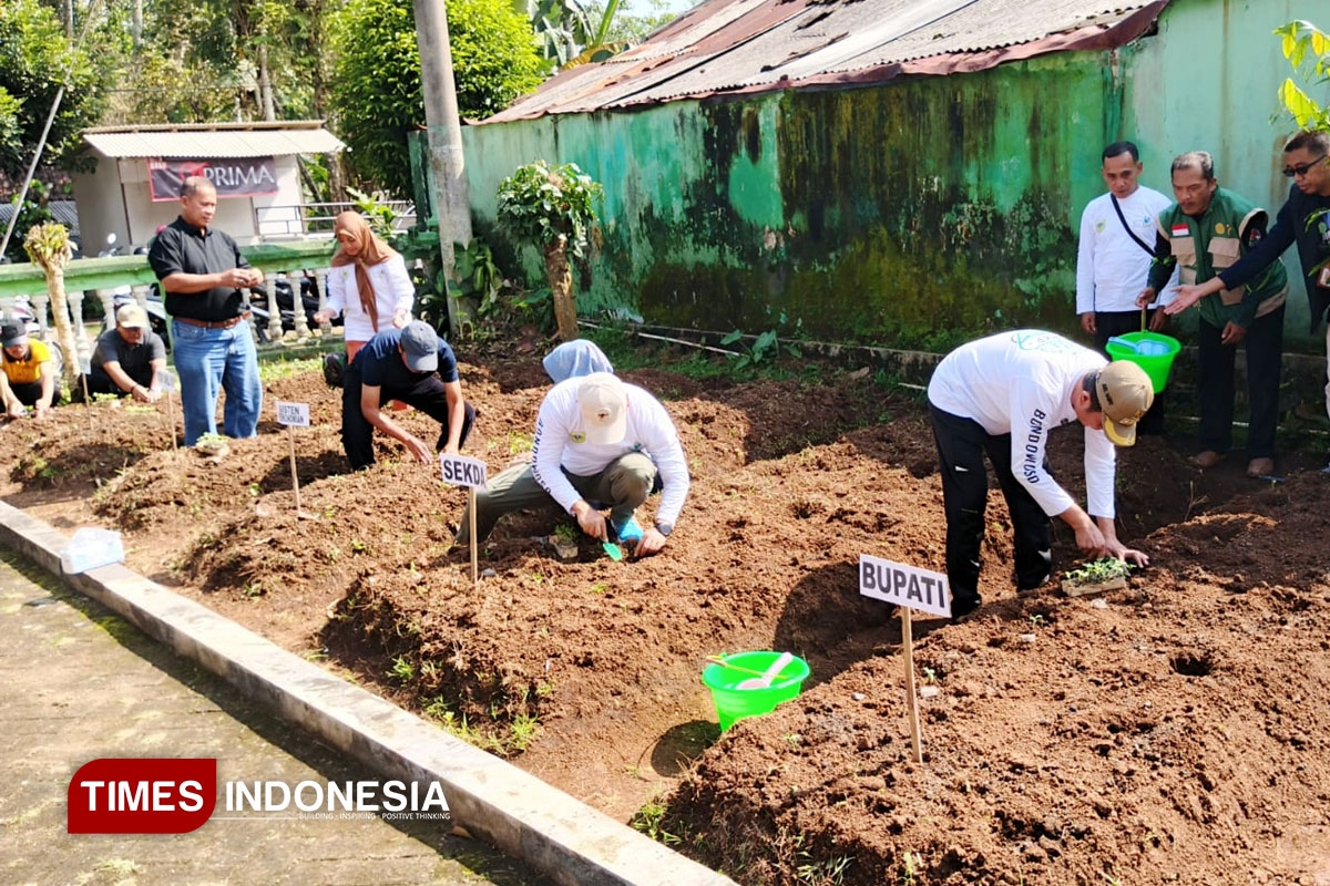 Bupati Bondowoso Pimpin Penanaman Sayur di Pekarangan Warga