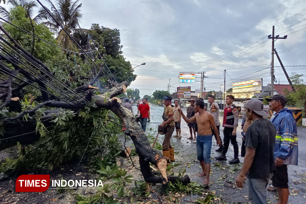Cuaca Ekstrem Guncang Probolinggo, Kerusakan Terjadi di Beberapa Desa