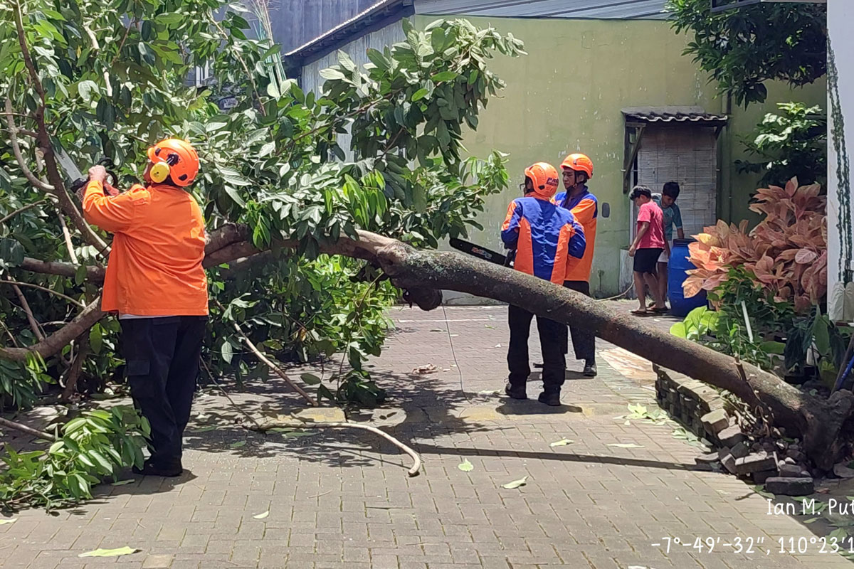 Cuaca Ekstrem Ancam Yogyakarta, BPBD Perketat Pemantauan Sungai dan Imbau Warga Tetap Siaga