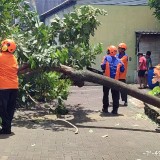 Cuaca Ekstrem Ancam Yogyakarta, BPBD Perketat Pemantauan Sungai dan Imbau Warga Tetap Siaga