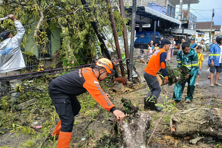 Cuaca Ekstrem di Kabupaten Malang, Pohon Tumbang Beruntun Timpa Jalan dan Rumah
