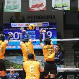 Proliga 2026,  Bhayangkara Presisi Tumbangkan Telak Surabaya Samator