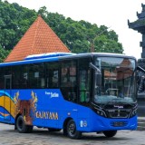 Pengembangan Bus TransJatim di Malang Raya, Fokus Integrasi Terminal dan Jalur Wisata