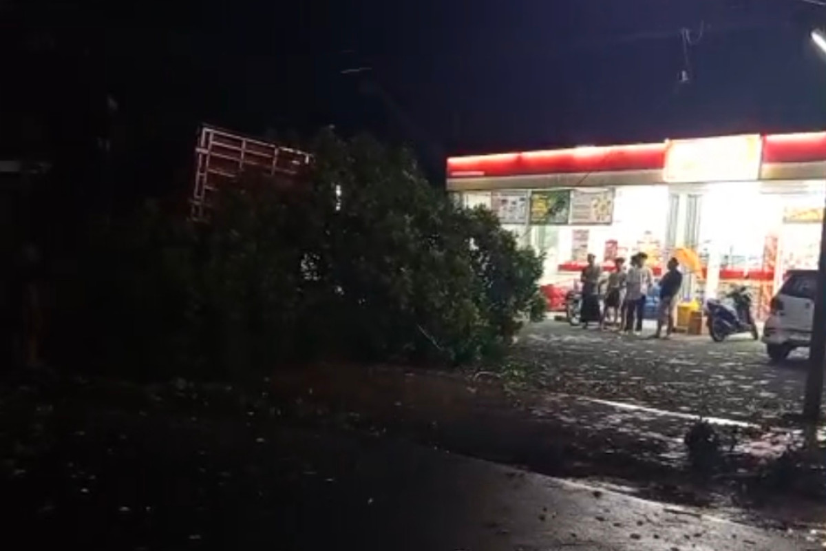 Tersangkut Dahan, Truk Tabrak Toko Modern di Kabupaten Bondowoso