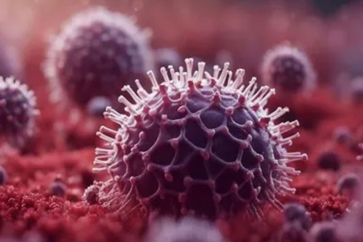 INFO GRAFIK:  Mengenal Penyebab, Gejala dan Penyebaran Virus Nipah