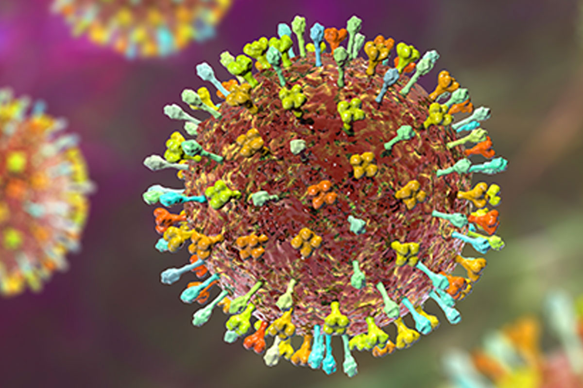 Kemenkes Tingkatkan Kewaspadaan Virus Nipah Meski Belum Ada Kasus di Indonesia