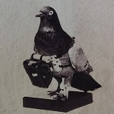 Merpati Pos, Koleksi Unik Museum Brawijaya yang Menyimpan Sejarah Perjuangan