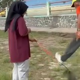 Kasus Tendang Kucing di Blora Viral, Satreskrim Periksa Pemilik dan Terduga Pelaku