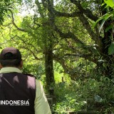 Pria Asal Pontianak Gantung Diri di Makam Betek Kota Malang, Begini Kronologinya