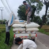 Perkuat Ketahanan Pangan, Bulog Cianjur Targetkan Serapan Gabah dan Beras Naik