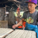 Harga Kedelai Naik, Produsen Tahu Bondowoso Terpaksa Sesuaikan Ukuran