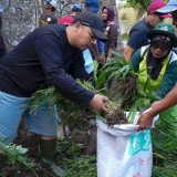 ASN Perwakilan Kemendukbangga Bersih-Bersih Sungai Cikapundung Kolot Bandung